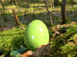 uovo verde