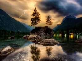 fulmine alberi